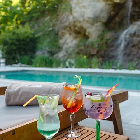 Pensiunea Apuseni Wild Guest house Remeti