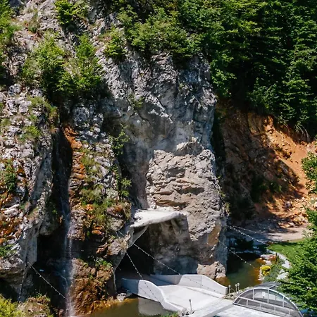 Pensiunea Apuseni Wild Remeti