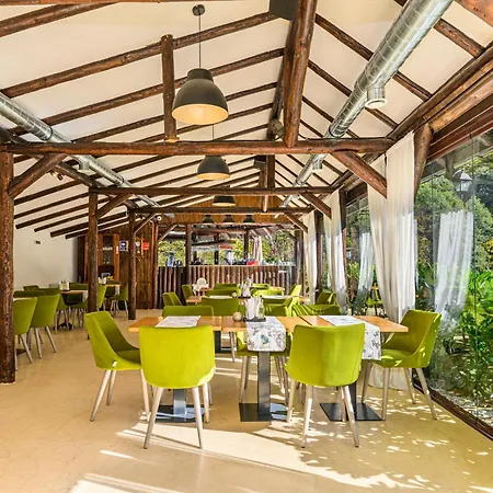 Guest house Pensiunea Apuseni Wild