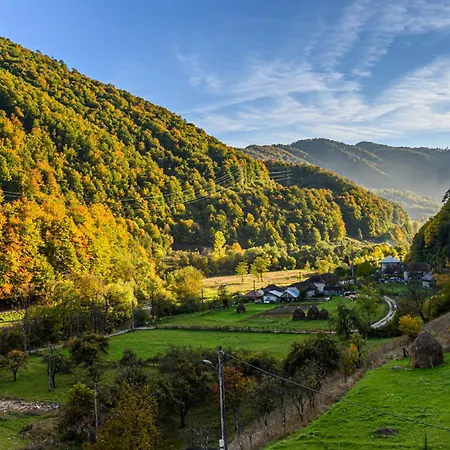 Guest house Pensiunea Apuseni Wild Remeti